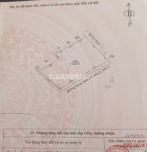 Chuyển nhượng 1.2 ha đất sản xuất kinh doanh tại Lâm Đồng