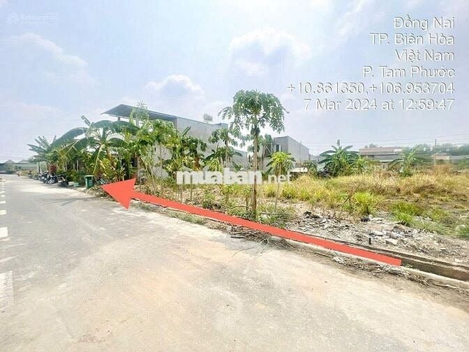 Chủ Ngộp cần bán 2 lô liền kề (5x20) 100m2 .TP Biên Hòa giá 15tr/m2
