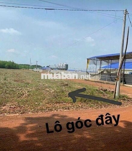 🌟 BÁN ĐẤT TÂN TIẾN – LÔ GÓC 2 MẶT TIỀN GIÁ CHỈ 350TR 🌟