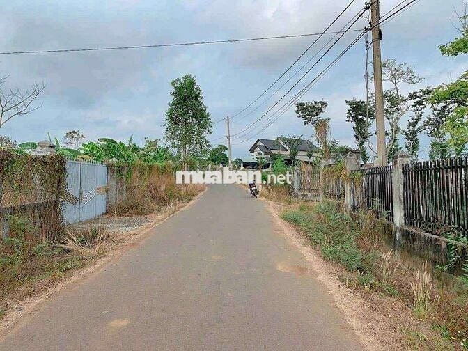 BÁN ĐẤT BÌNH GIÃ, LÁNG LỚN, CHÂU ĐỨC