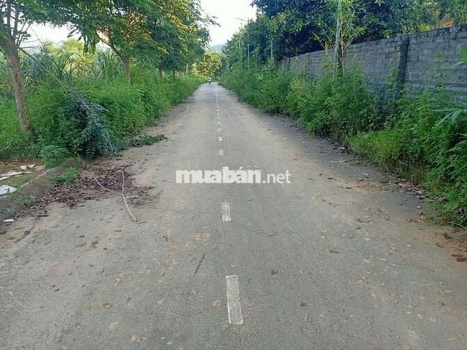 NHỈNH 3TỶ LÔ ĐẤT 222M,MT11,13M, NGÕ THÔNG Ô TÔ TRÁNH, XÃ PHÚ CÁT HN