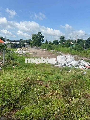 Bán lô đất 3300m2, mặt tiền đường nhựa (2 mặt tiền)