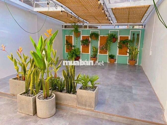 Nguyên căn 4x20m nở hậu đường Thành Thái ngay khu kinh doanh đẹp