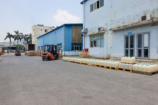 Tuyển nhân viên lái xe 7 chỗ chở Lãnh đạo doanh nghiệp (bằng C, D)
