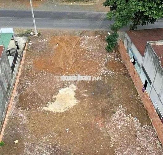 đất mặt tiền 32m, sẵn sầu riêng