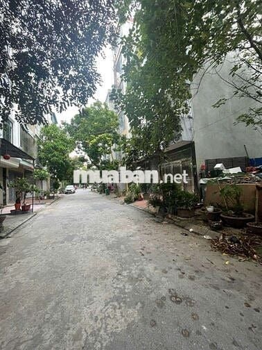 Bán đất dịch vụ Hàng Bè – Kiến Hưng, 50m², MT 4m, giá chỉ 12 tỷ