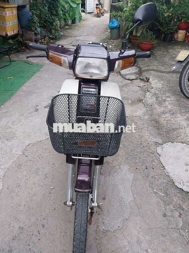 DREAM BOSS SAN DA BS BÌNH ĐỊNH