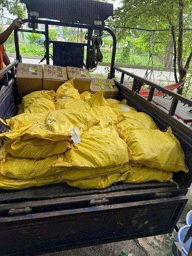 Cung cấp đinh hàn ( đinh chống cắt)