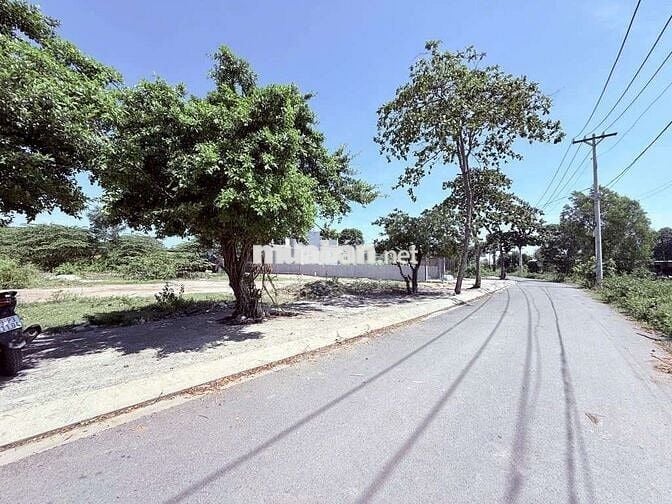 Bán Lô Đất Mặt Tiền thổ cư 147m gần Cầu Vượt Tỉnh Lộ 10 giáp quận 6