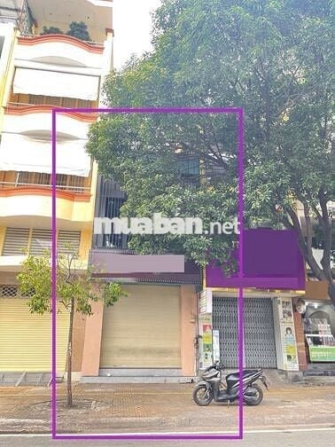 Mặt Tiền Lạc Long Quân - Khu Ngân Hàng, Văn Phòng, Trường Học.