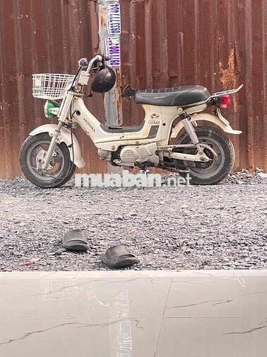 xe học xin đi còn ngon máy móc bao chạy lợi xăng