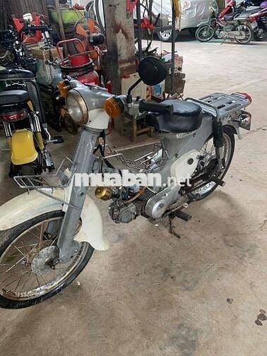 xe cub 50cc không cần bằng lái để đi vườn