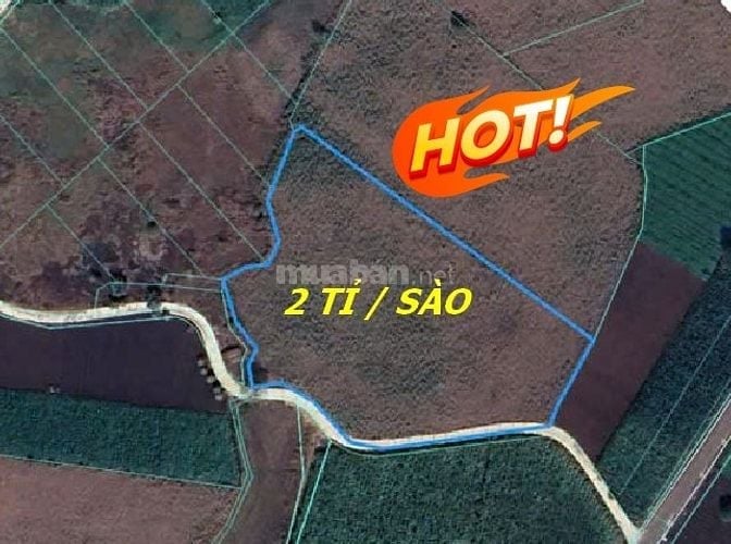 Bán đất 7390 m2 Chính Chủ - Xã Láng Dài -Bà Rịa Vũng Tàu