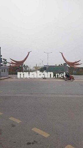 nhà mặt phố Trâu Quỳ – Gia Lâm,Học viện Nông nghiệp, giá chỉ 21 tỷ