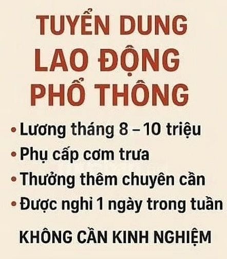 🆕 Chúng Tôi Cần Ngay 05 LĐPT Đóng Gói Hàng Trà Thảo Mộc