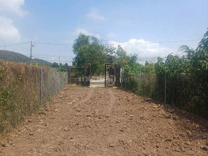 Bán đất chính chủ MT Bà Huyện Thanh Quan, xã Đức Linh, Bình Thuận