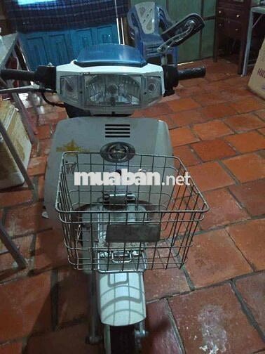 xe max cũ 100cc