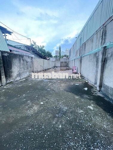 ĐẤT TRỒNG CÂY HÀNG NĂM,ĐƯỜNG 10m CÁCH MẶT TIỀN CHỈ 20m