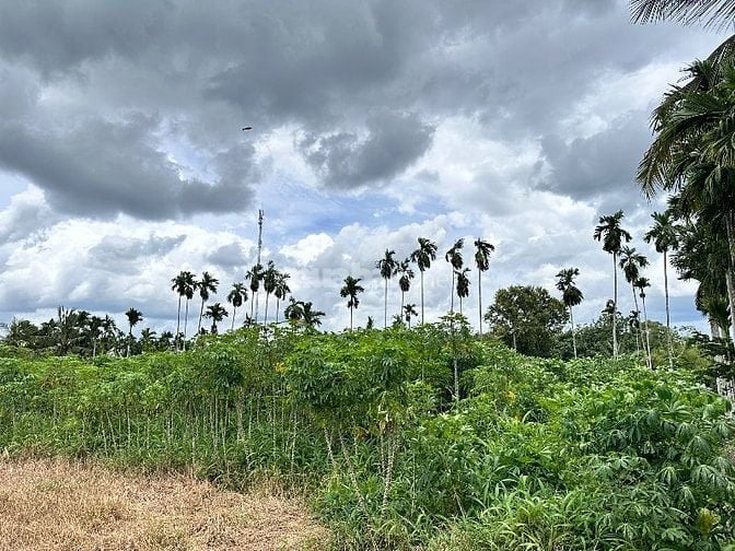 CHÍNH CHỦ ĐẤT Ở, ĐẤT KINH DOANH 