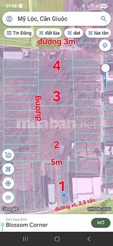 1,575m2 thổ, 3MT, đường Cộng Đồng Lộc Trung, Mỹ Lộ, Cần giuộc, LA