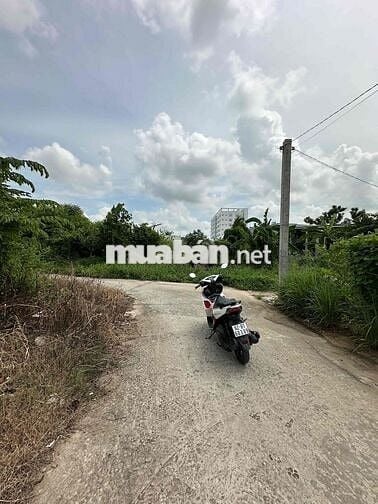 ❌Đất thổ đẹp- Phường 7 - Tp Tân an ( Thuộc Phường Long An ) ❌