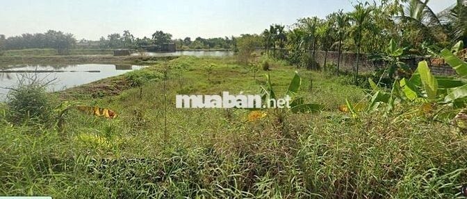 Bán đất nông trường Thành Tô - Hải Phòng 200 ha