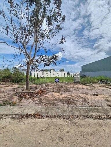 Chủ kẹt tiền cần bán MT Nguyễn Đức Thuận, Phường Hiệp Thành, TDM , BD