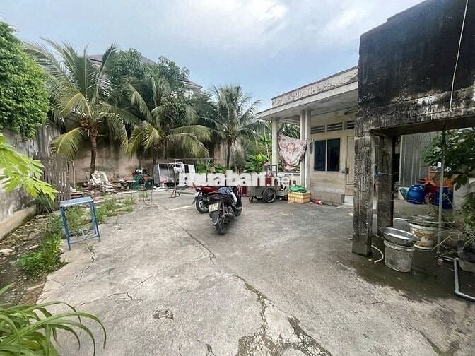 🌟 BÁN ĐẤT CHỢ BÚNG – 107m² – GIÁ 2,75 TỶ