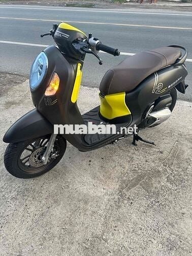 Honda Scoopy
