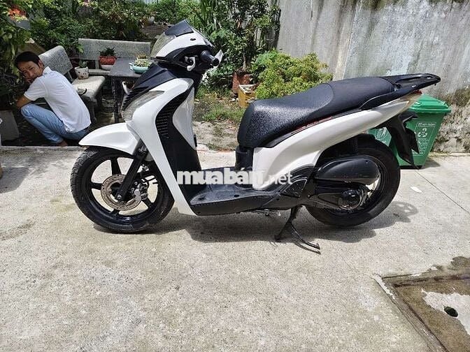 Sh úp đẹp 150 máy bao êm Biển SG