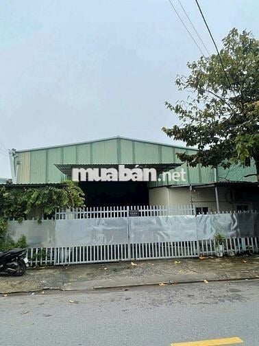 Mặt tiền an phú đông 25, quận 12, dt 574m2