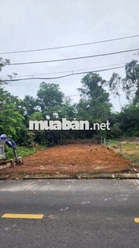 Đất mặt tiền đường nhựa 7m5 lề 3m đường DH 8