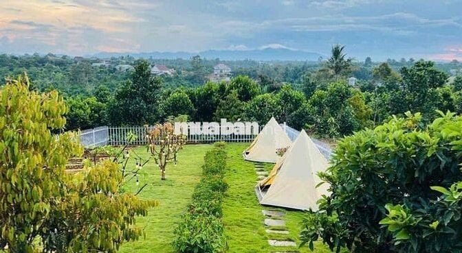 Thanh toán nợ gấp bán lỗ lô 515m2 giá 479tr tặng vườn tiểu cảnh