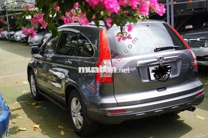 Honda CRV 2.4 AT 2010 - xe đẹp không lỗi