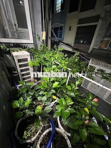 Phòng Quận 3, 10-15 m2, gần chợ Bàn Cờ, an ninh,Thoáng mát, tiện nghi