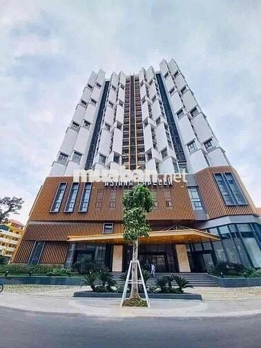 Căn hộ Asiana Capella Q6 - 43m², có thể làm lửng - 2.2 tỷ - Đang ra sổ