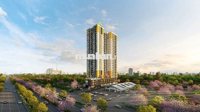 GIỮ CHỖ CH NHẬT BẢN BCONS ASAHI - CHỈ VỚI 30TR/SUẤT CÓ HOÀN LẠI 100%