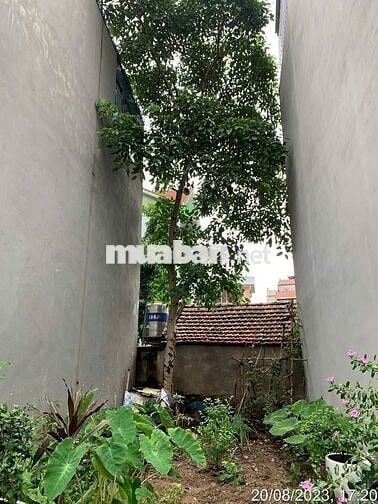 Cần bán đất thổ cư Lai Xá, Kim Chung đối diện Đại Học Thành Đô