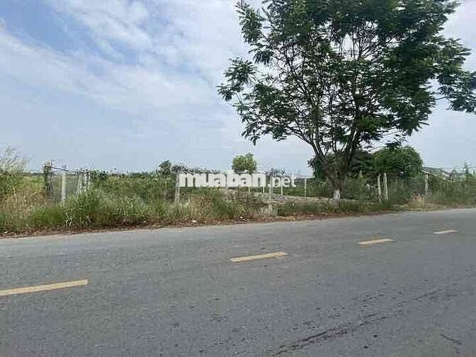 Đất đẹp gần biển, TT.Cần Thạnh,Duyên Hải ,Cần Giờ ,dt:117m2,full thổ ,