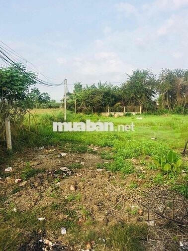 Đất thổ cư 200m2 - phước vân, cần đước, long an