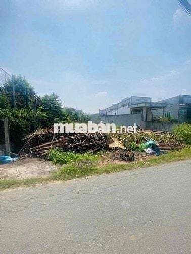 (25)BÁN GẤP LÔ ĐẤT 246M² – ĐƯỜNG SỐ 18, TÂN THÔNG HỘI