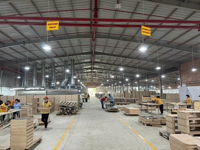 Cần thợ mộc ,thợ máy móc, Thợ sơn, thợ lắp ráp & LĐPT làm Bình Dương