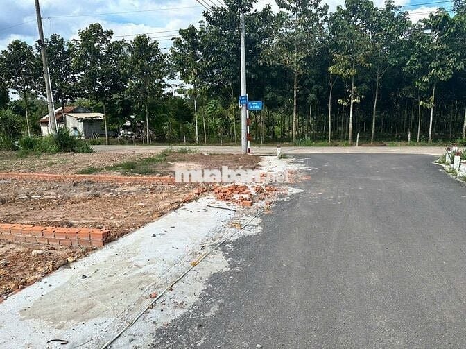 Bán đất thổ cư 125m² giá rẻ tại An Long, TP.HCM