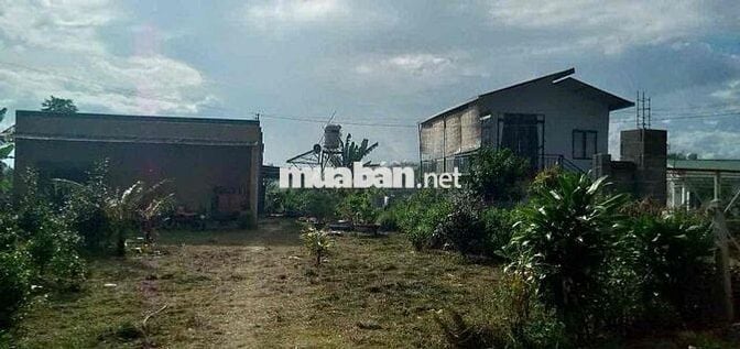 Nóng 🔥 Nhanh tay thì còn ,chậm trễ là mất ..Đất vườn 1500m2 /180trieu