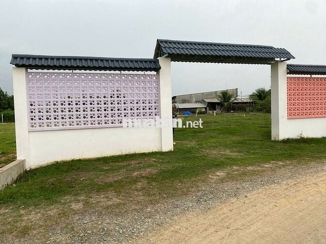 Bán gấp lô đất thổ cư 147m² trung tâm Hậu Nghĩa – Giá chỉ 850 triệu!