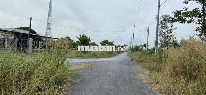 Bán gấp lô góc 2 mặt tiền – Cách QL50 200m – Nở hậu, giá tốt 1,6 tỷ