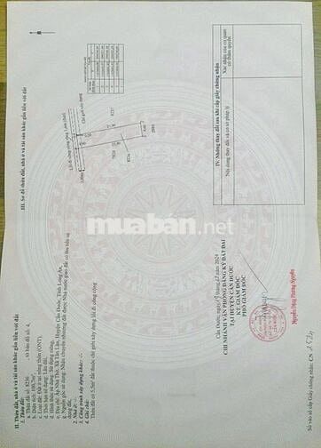Đất nền Tân Lân, Cần Đước cực chất cho ai muốn xây dựng tổ ấm/ đầu tư