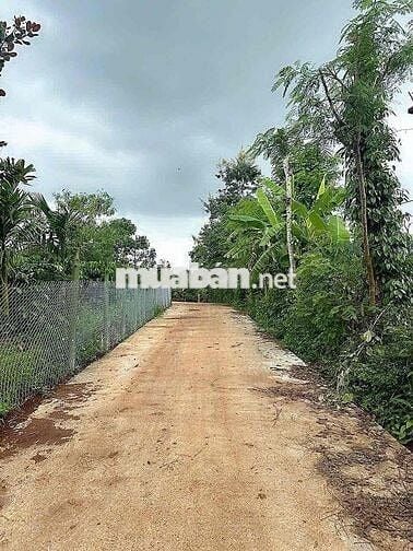 ĐẤT CÁCH PHỐ 9km đường bê tông vi vu nguyên lốc