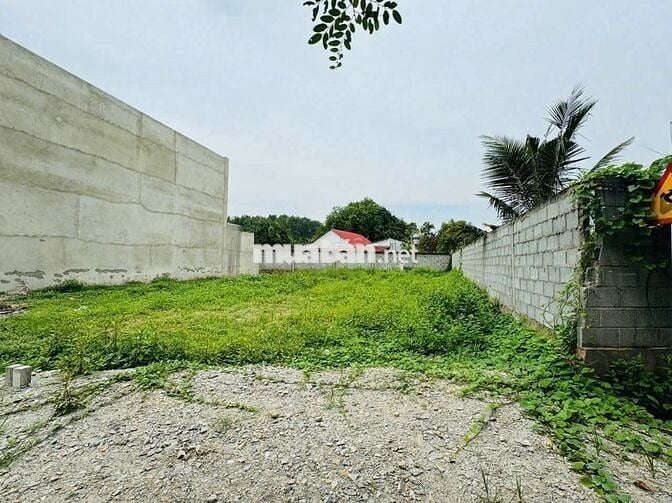 129M2 BA SA PHƯỚC HIỆP ĐẤT RỘNG CỰC KÌ THOÁNG MÁT XÂY NHÀ HỢP LÝ