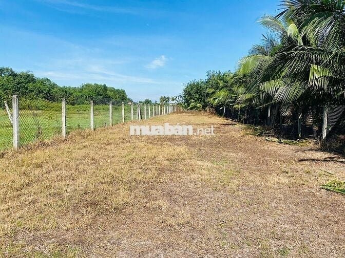 Tôi cần bán lô đất ngay chợ Trảng Bàng ngang 10m giá 300tr sổ hồng
